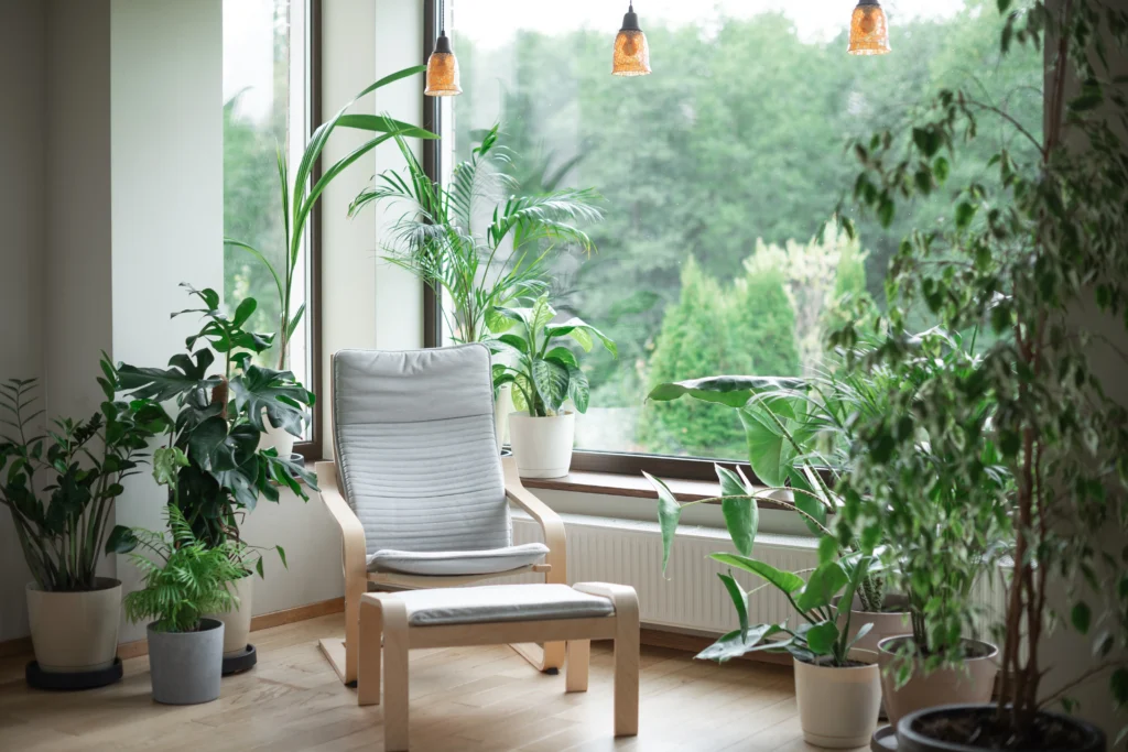 How to Bring Biophilic Design into Luxury Interiors